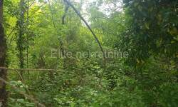 Zemljiste, Matulji, Veli Brgud, prodaja, 93000 €, 1700 m2