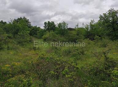 Zemljiste, Kaštelir-Labinci, Labinci, prodaja, 66300 €, 6390 m2