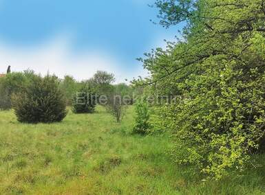 Zemljiste, Marčana, Loborika, prodaja, 170000 €, 3535 m2