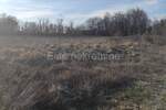 Zemljiste, Barban, prodaja, 37000 €, 11900 m2