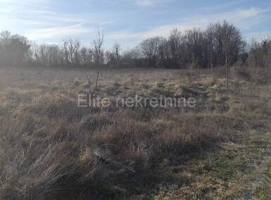 Zemljiste, Barban, prodaja, 37000 €, 11900 m2