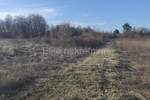 Zemljiste, Barban, prodaja, 37000 €, 11900 m2