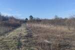 Zemljiste, Barban, prodaja, 37000 €, 11900 m2