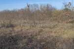 Zemljiste, Barban, prodaja, 37000 €, 11900 m2