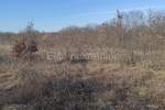Zemljiste, Barban, prodaja, 37000 €, 11900 m2