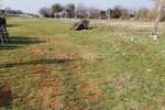 Zemljiste, Vodnjan, prodaja, 350000 €, 4978 m2