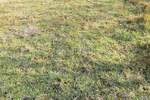 Zemljiste, Vodnjan, prodaja, 350000 €, 4978 m2