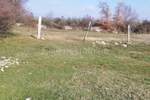 Zemljiste, Vodnjan, prodaja, 350000 €, 4978 m2