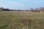 Zemljiste, Vodnjan, prodaja, 1250000 €, 12500 m2