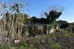 Zemljiste, Ližnjan, prodaja, 900000 €, 3396 m2