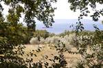 Zemljiste, Kostrena, Plešići, prodaja, 199800 €, 2100 m2