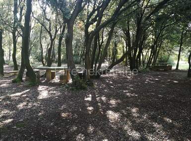 Zemljiste, Vodnjan, Peroj, najam, 200000 €, 35523 m2