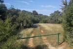 Zemljiste, Vodnjan, Peroj, najam, 200000 €, 35523 m2