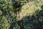 Zemljiste, Matulji, prodaja, 233600 €, 2835 m2