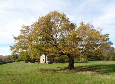 Zemljiste, Žminj, prodaja, 1350000 €, 20000 m2