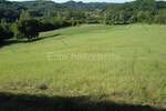 Zemljiste, Pazin, Trviž, prodaja, 412000 €, 12550 m2