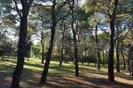 Zemljiste, Rovinj, prodaja, 2170440 €, 12058 m2