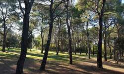 Zemljiste, Rovinj, prodaja, 2170440 €, 12058 m2