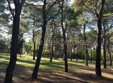 Zemljiste, Rovinj, prodaja, 2170440 €, 12058 m2