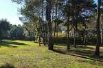 Zemljiste, Rovinj, prodaja, 2170440 €, 12058 m2