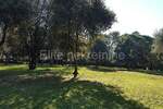 Zemljiste, Rovinj, prodaja, 2170440 €, 12058 m2