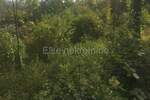 Zemljiste, Matulji, Veli Brgud, prodaja, 40000 €, 813 m2