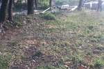 Zemljiste, Vinodol, Bribir, prodaja, 52000 €, 700 m2