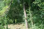 Čavli, centar - prodaja građevinskog zemljišta u strogom centru 2390 m2 