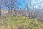 Zemljiste, Bakar, Krasica, prodaja, 83000 €, 1911 m2