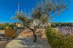Jednosoban stan, Umag, prodaja, 199000 €, 50 m2
