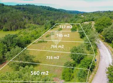 Zemljiste, Buje, prodaja, 74500 €, 745 m2