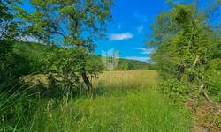 Zemljiste, Buje, prodaja, 76600 €, 766 m2