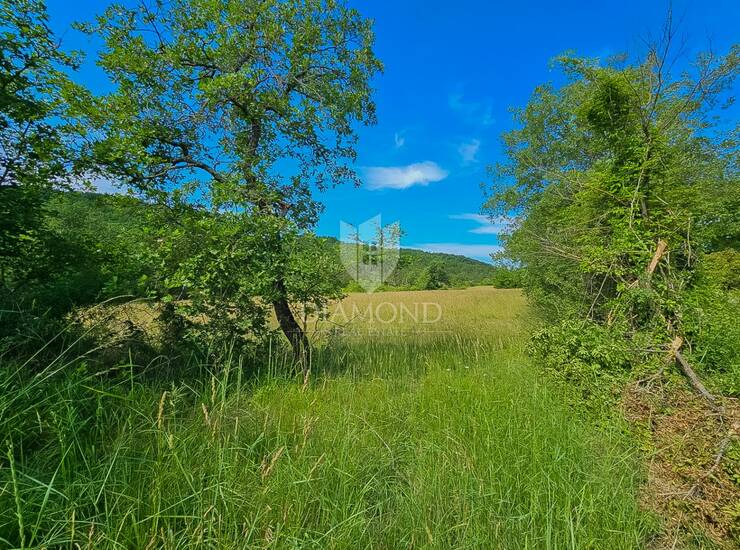 Buje, predivno zemljište površine 766 m² na mirnoj lokaciji!