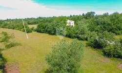 Zemljiste, Buje, prodaja, 71600 €, 716 m2