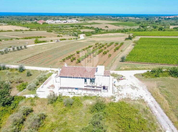 Novigrad, okolica, osunčano građevinsko zemljište s pogledom!