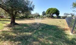 Zemljiste, Vodnjan, Galižana, prodaja, 135000 €, 919 m2