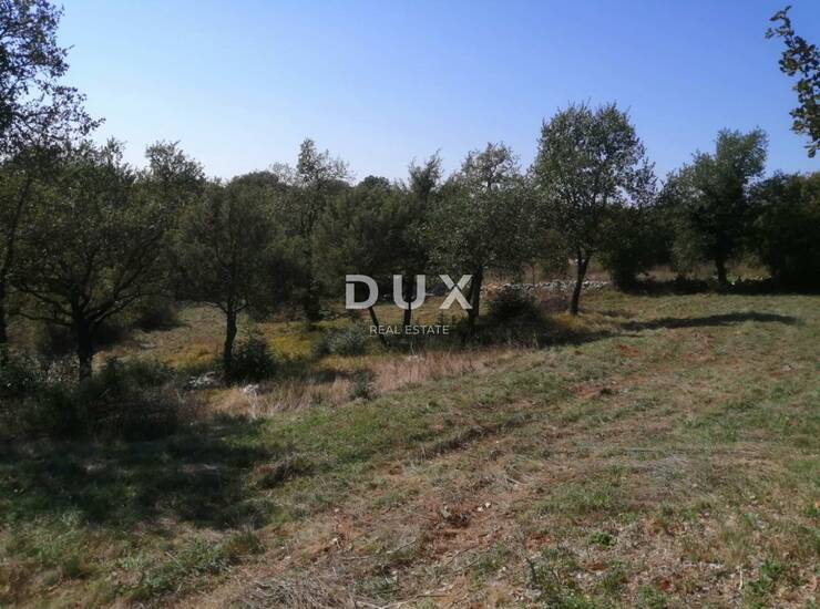 ISTRA, BALE - Idealno građevinsko zemljište 518m²