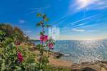 Dvosoban stan, Novigrad, prodaja, 220000 €, 27 m2