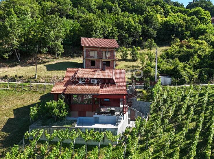 Trški Vrh – kuća s uređenom okućnicom, vinogradom i prekrasnim pogledom