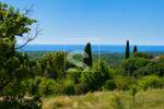 Kuca, Bale, prodaja, 1450000 €, 365 m2