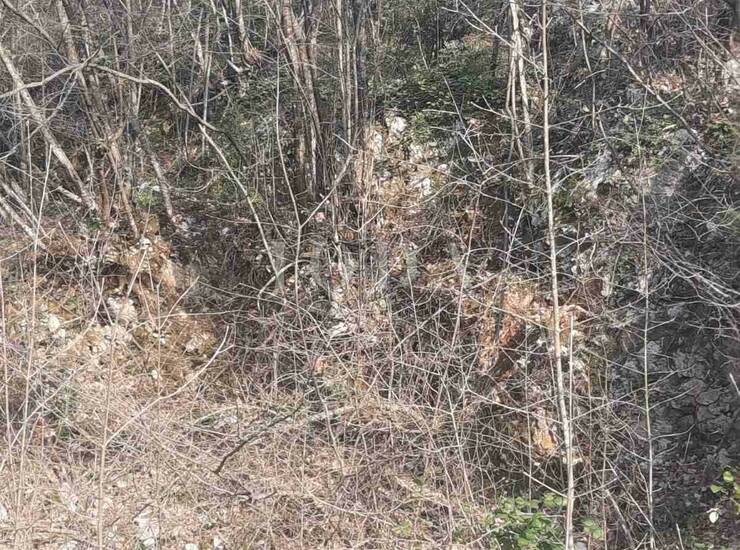 Labin, okolica, građevinsko zemljište na traženoj lokaciji — fotografija 3
