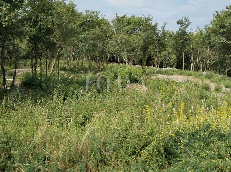 Labin, građevinsko zemljište na traženoj lokaciji — fotografija 2