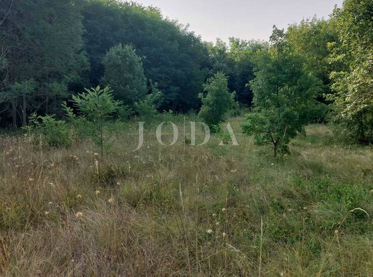 Poljoprivredno zemljište pravilnog oblika uz lokalnu cestu