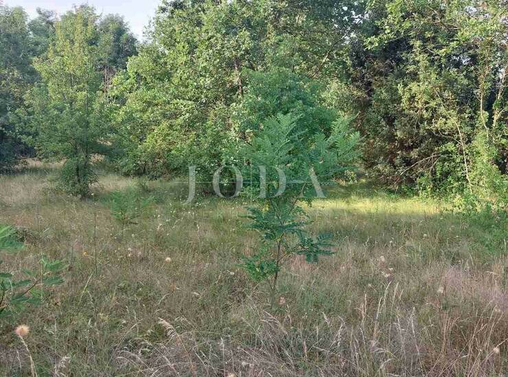 Poljoprivredno zemljište pravilnog oblika uz lokalnu cestu — fotografija 2