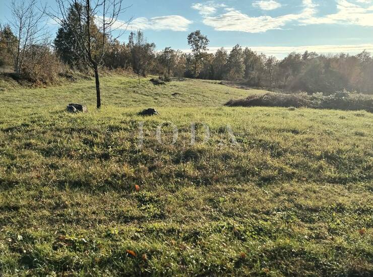 Labin, okolica, kombinacija građevinskog i poljoprivrednog zemljišta — fotografija 4