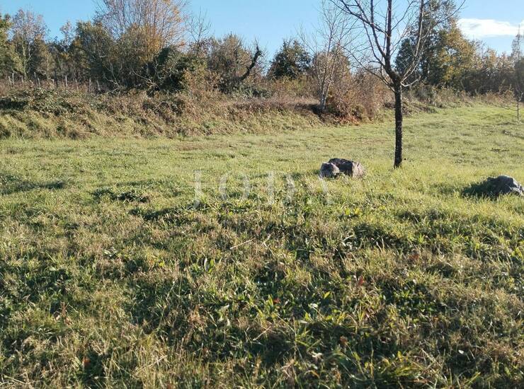 Labin, okolica, kombinacija građevinskog i poljoprivrednog zemljišta — fotografija 5