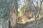Plomin, okolica, dvije ruševine sa očaravajućim pogledom na more