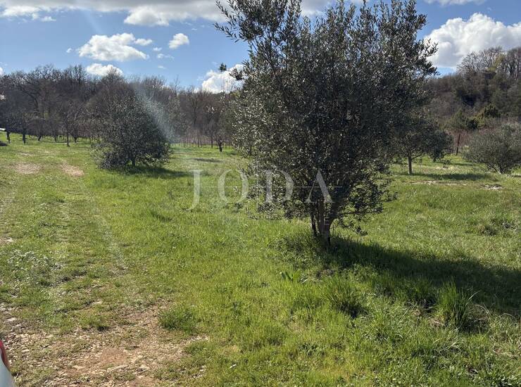 Labin, okolica, istarska kuća za adaptaciju na velikom imanju — fotografija 6