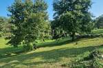 ROH BAU kuća sa bazenom,PAZIN okolica