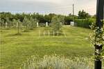 Atraktivno građevinsko zemljište 4.200m2 sa kućom,LOBORIKA — fotografija 2